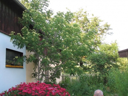K1024 IMG 0913.JPG