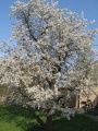 Vorschaubild der Version vom 15. April 2012, 16:57 Uhr